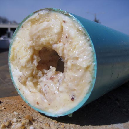 Sewer pipe cut open revealing that it is almost completely clogged with fat, oils, and grease. It looks really gross.