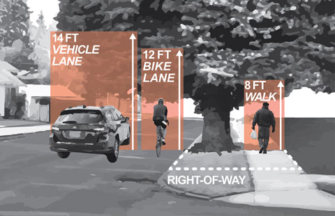 Graphic indicating tree trimming requirements in the public right-of-way.