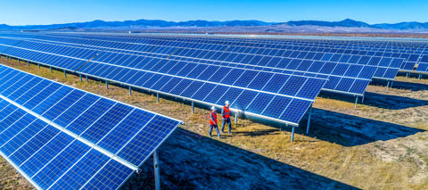 Solar panel farm.