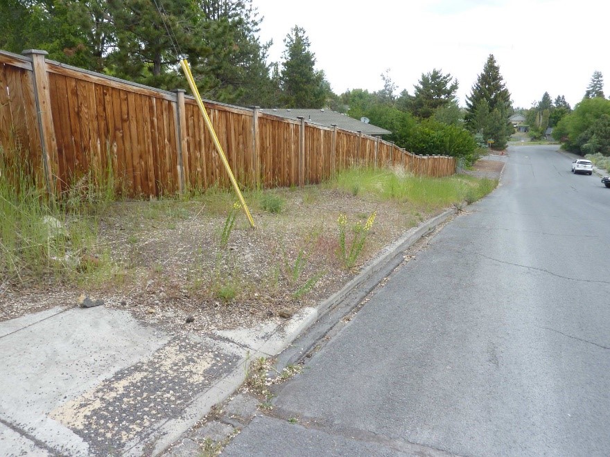 Shepard Rd Photo 3 Before - long stretch of roadway with no sidewalk, just vegetation