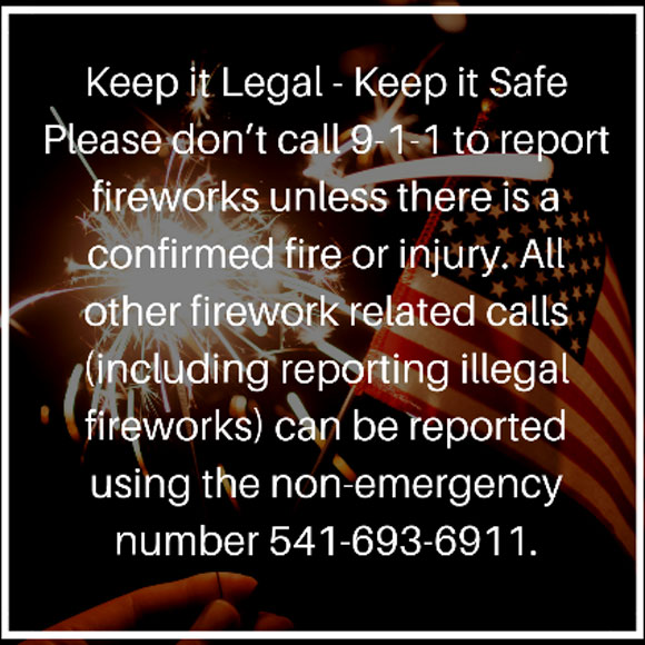 Firework safety warning