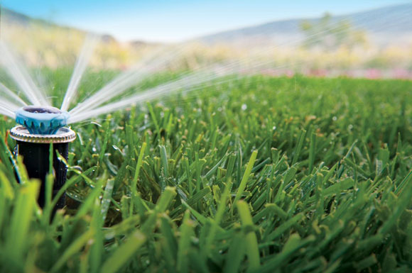 Sprinkler head watering grass