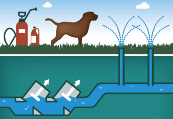 Backflow system Graphic