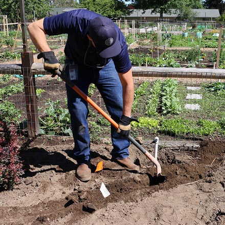 City of Bend employee tilling soil at Hollinshead Park