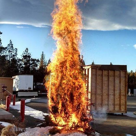 Christmas tree engulfed in flames.