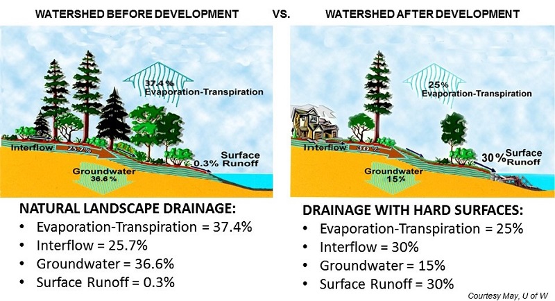 graphic shows amount of stormwater runoff increases by !00% after land development