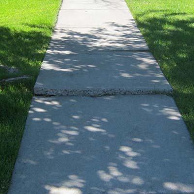 Tree root damaged (lifted) sidewalk.