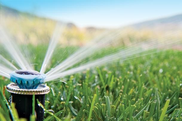 Sprinkler in lawn