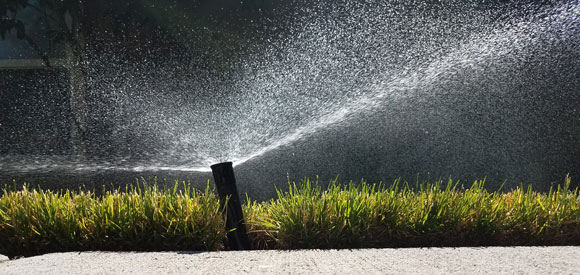 A sprinkler head spraying water.