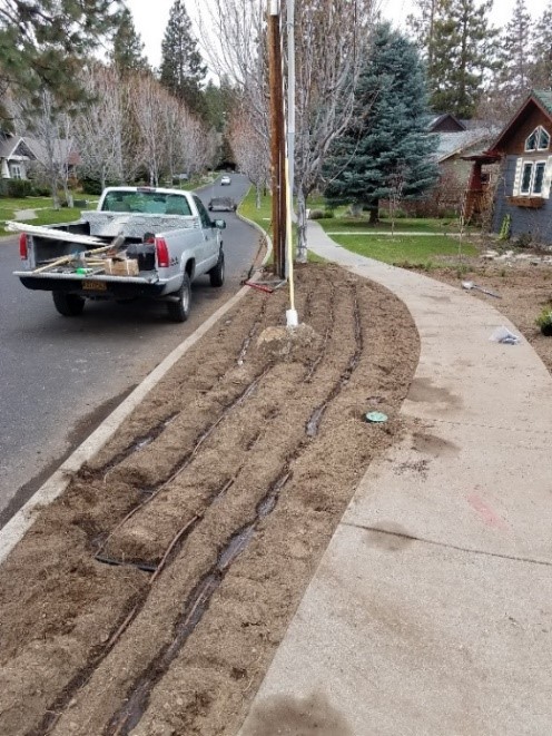 Preparing area for planting