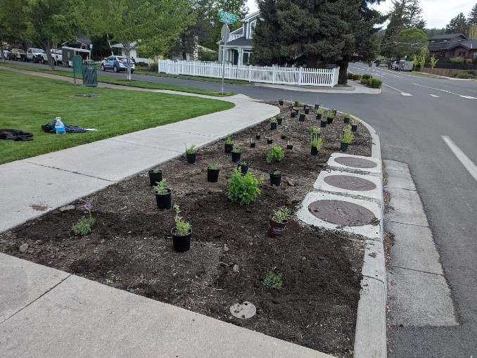 Laying out plants in the pathway