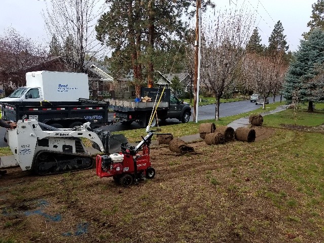 Sod Removal with machines