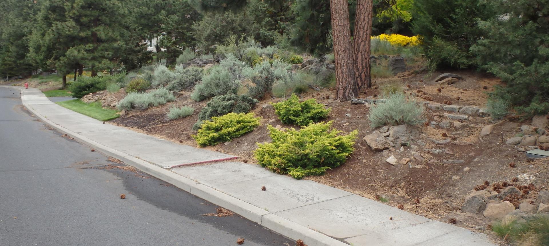 Raised sidewalk