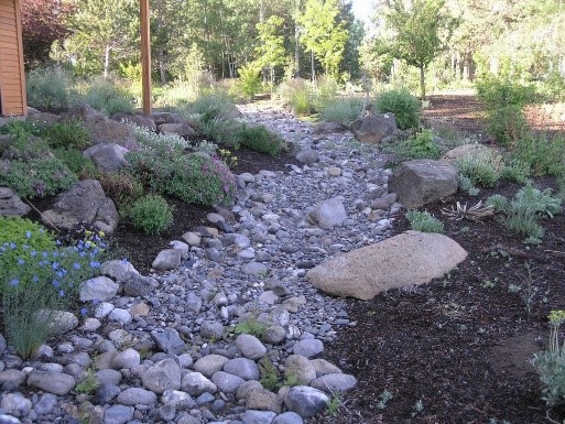 Rock Swale, stormwater, rock river