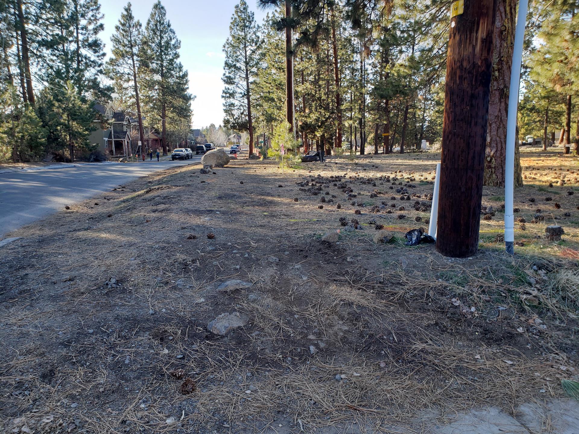 North side of Hollygrape Street between Princeton Loop and Gorge View Street – dirt path next to roadway