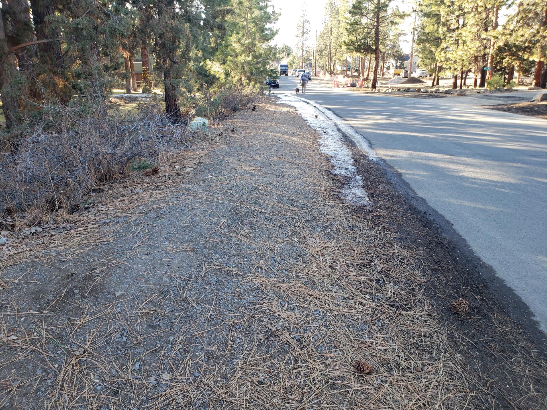 South side of Hollygrape Street between Princeton Loop and Gorge View Street – dirt path next to roadway