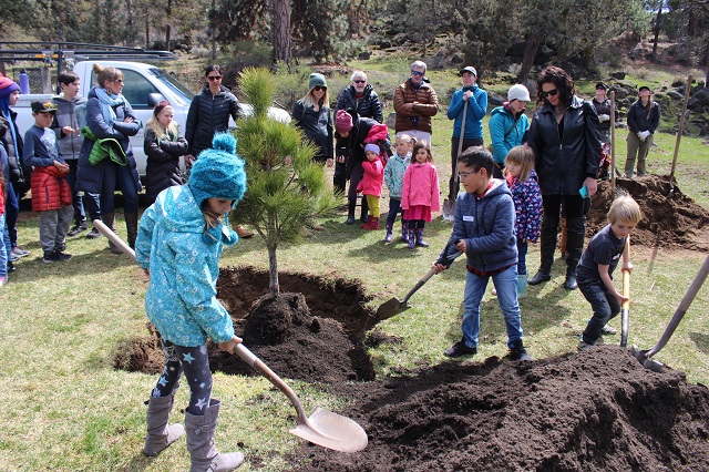 kids planting a tree