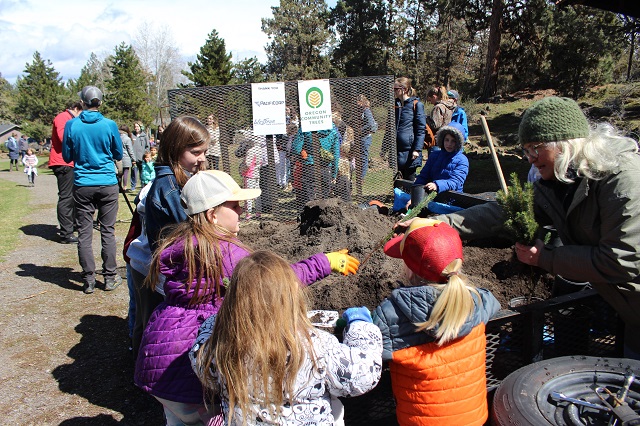 kids potting trees