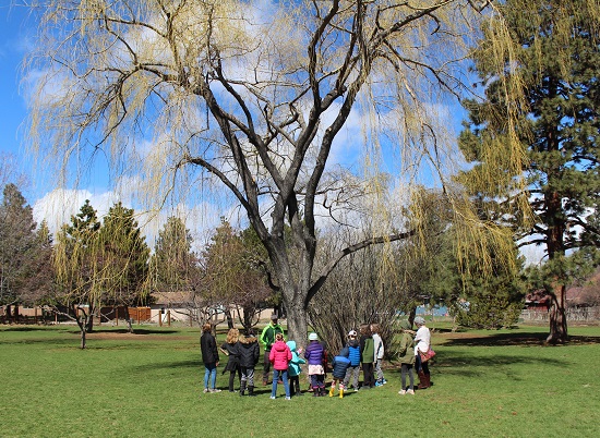 kids learning about treees