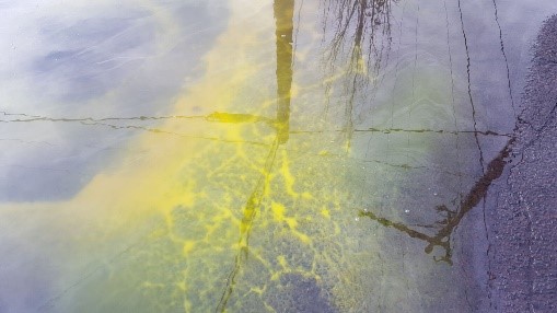 paint discharge into road and blended with stormwater