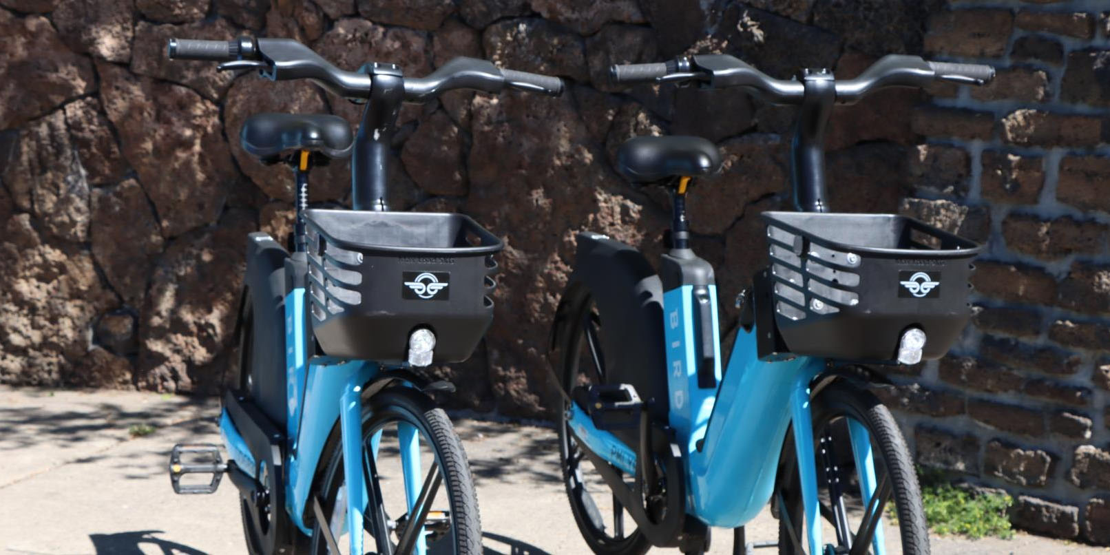 Bird bikes parked and ready to use.