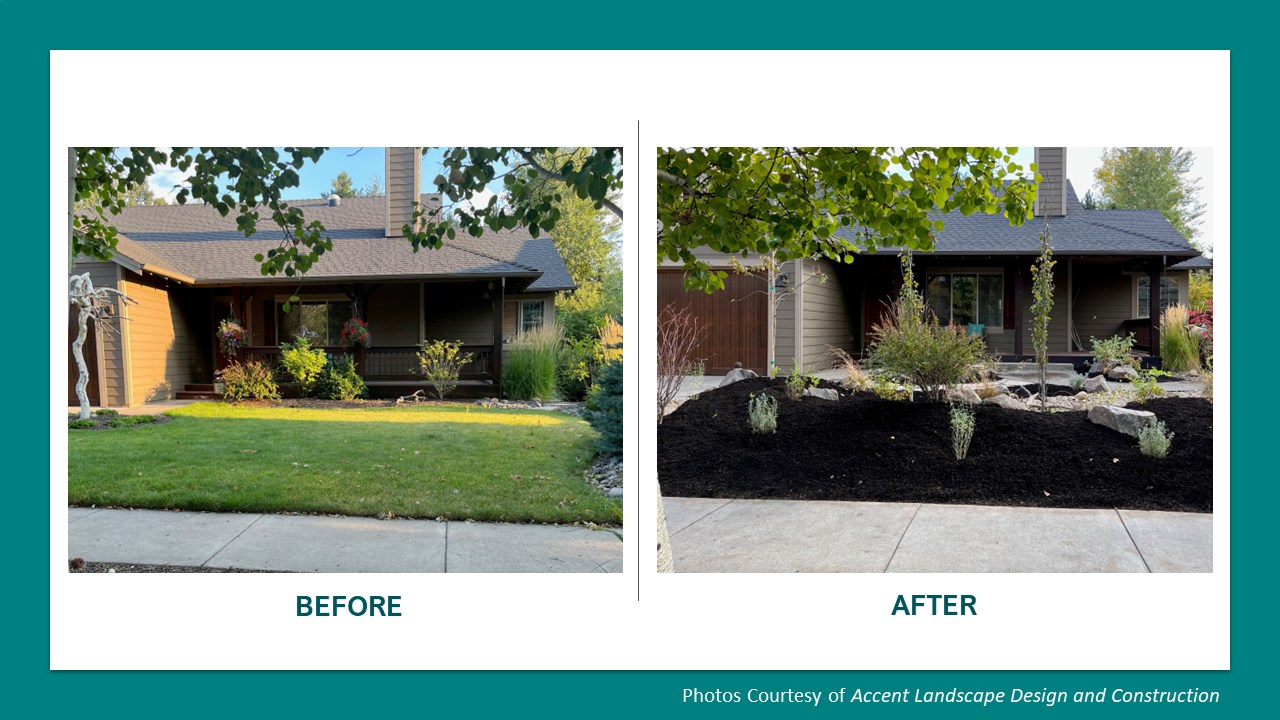 Before and After Accent Landscape