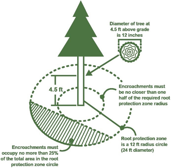 Image of a tree with wording showing requirements for a root protected zone