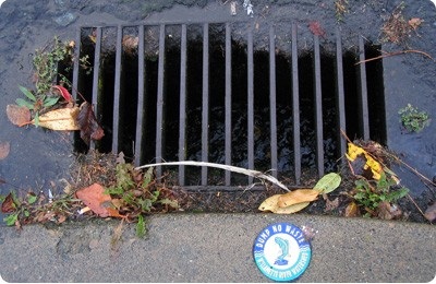 Stormdrain with "dump no waste" marker