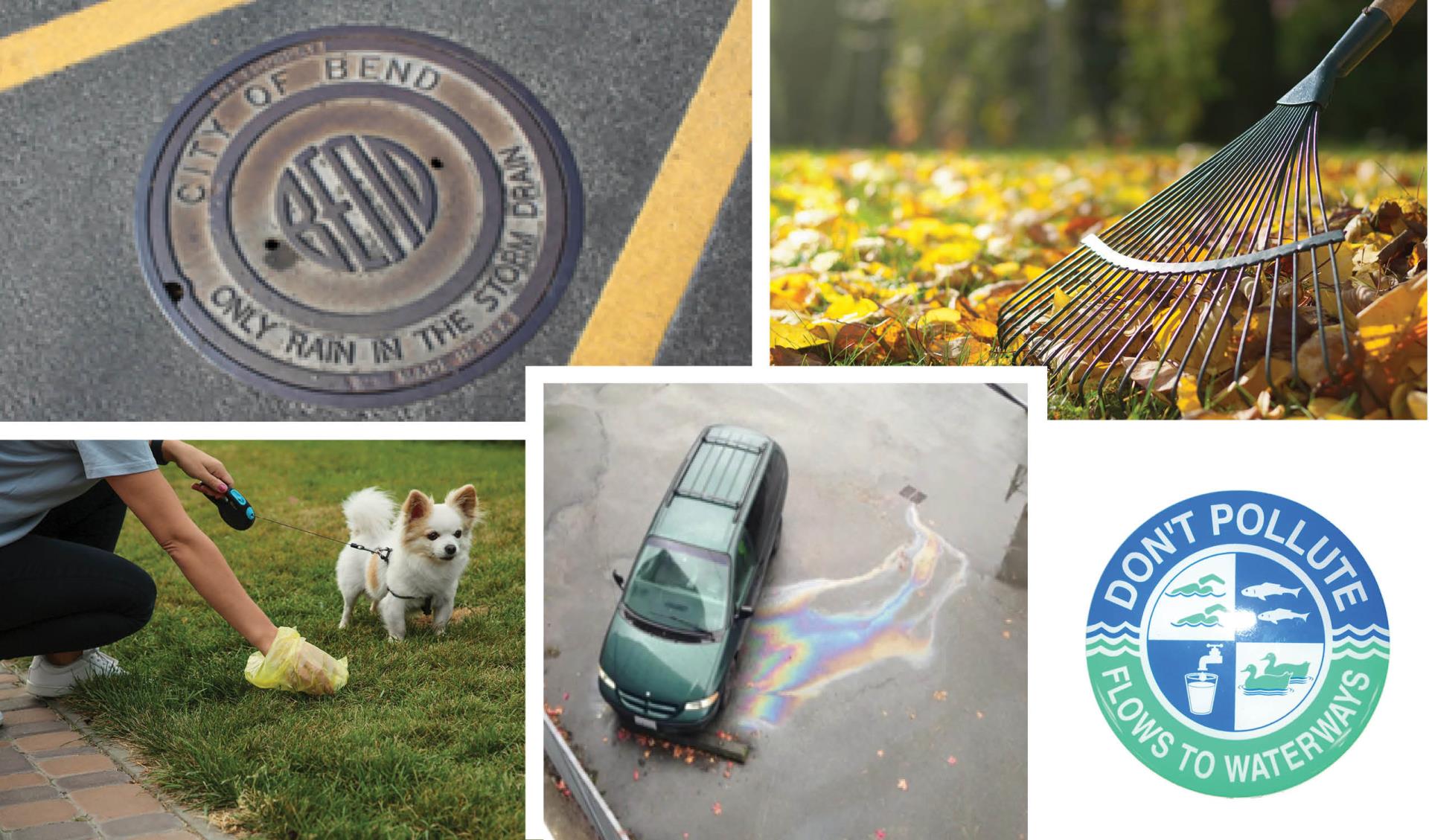 Collage of photos including metal City of Bend manhole cover, leafs being raked, person bagging dog waste, car with oil sheen coming from it, No dumping - Drains to River placquard.