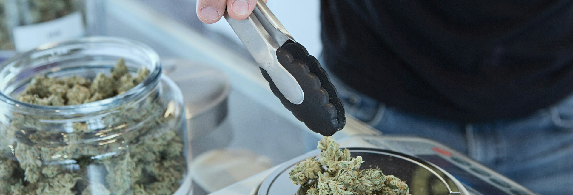 Worker placing cannabis on a scale