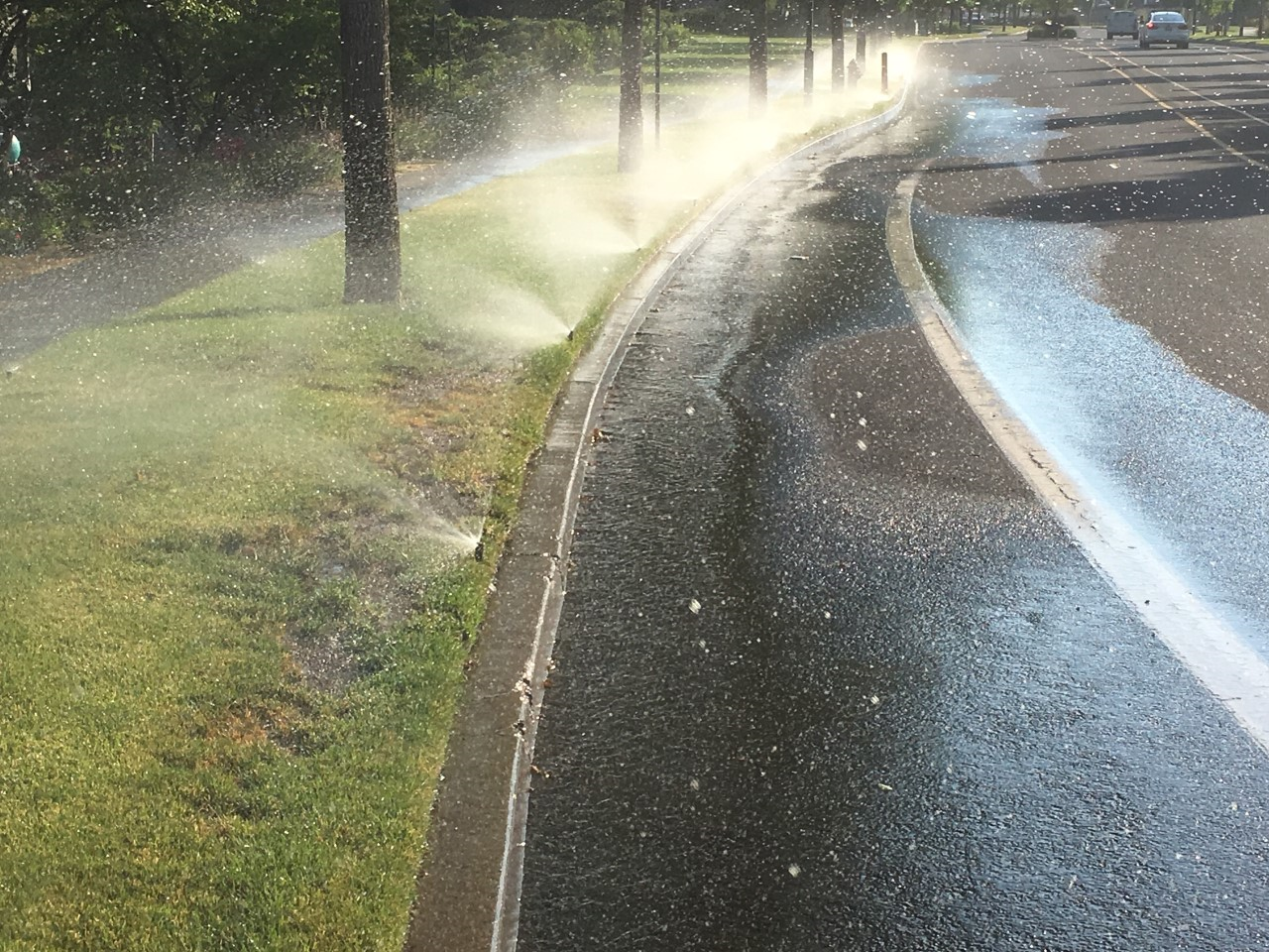 Sprinklers overspraying into the street.