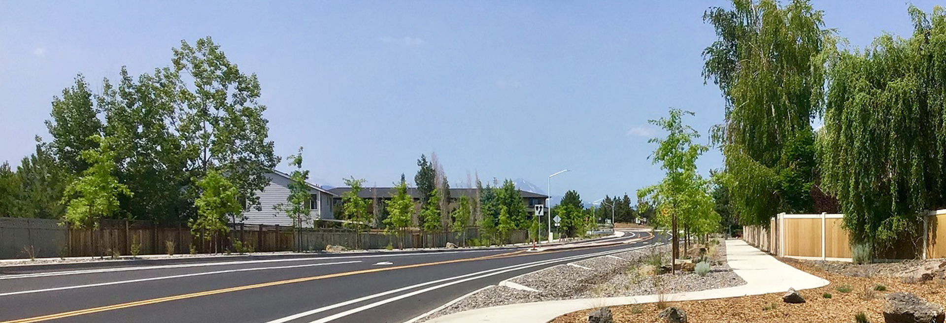 Landscape strip with trees along a city road