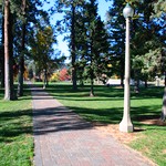 Paver Path in Drake Park