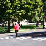 Pedestrian in Crosswalk