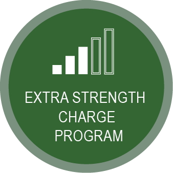 Link to Sewer Extra Strength Charge