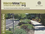 Beautiful streetscape with native plants between roadway and sidewalk