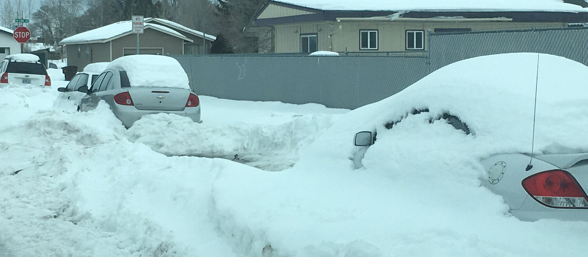 Parked cars buried by snow on the side of the road