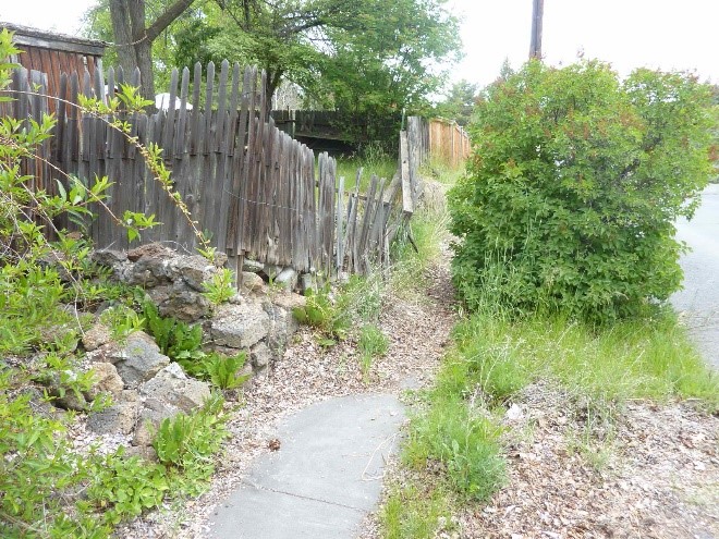 Shepard Rd. 1 Before Photo - Overgrown vegetation, falling wooden fence blocking sidewalk