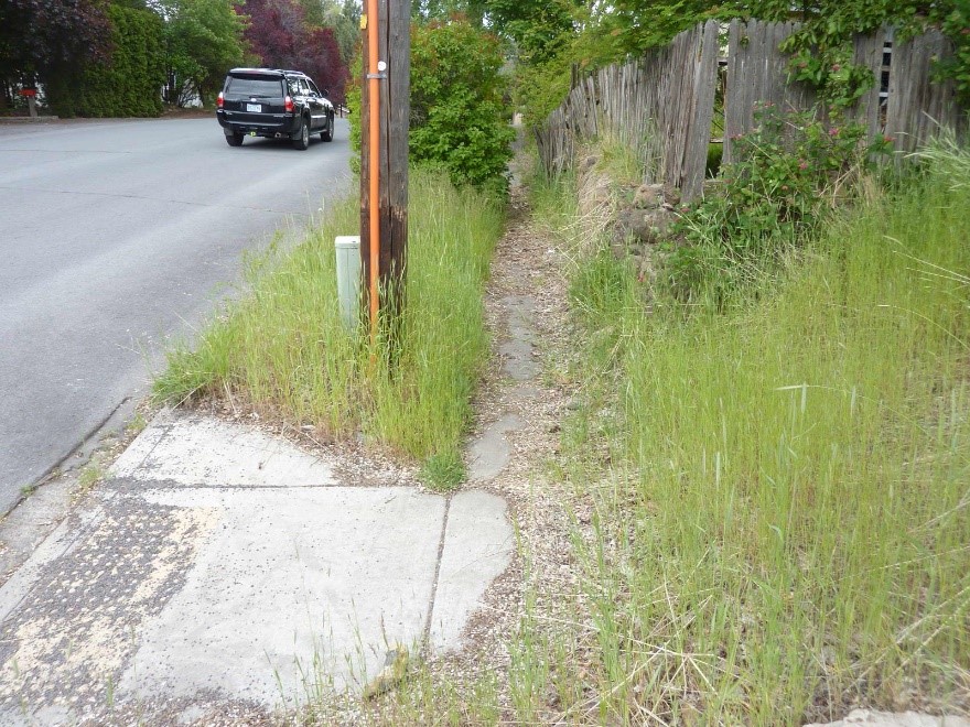 Shepard Rd 2 Before Photo - overgrown vegetation, sidewalk ending in the middle of the block.