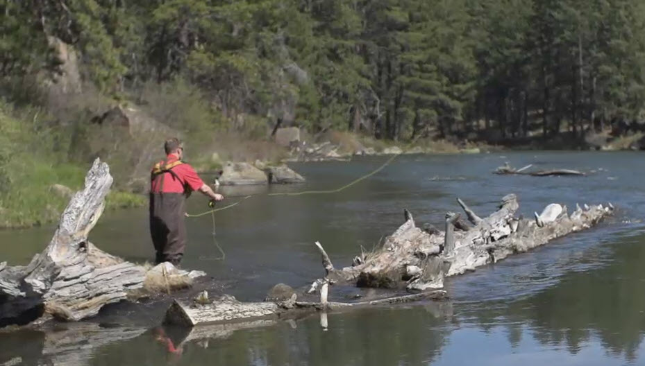 Man Fly Fishing in River