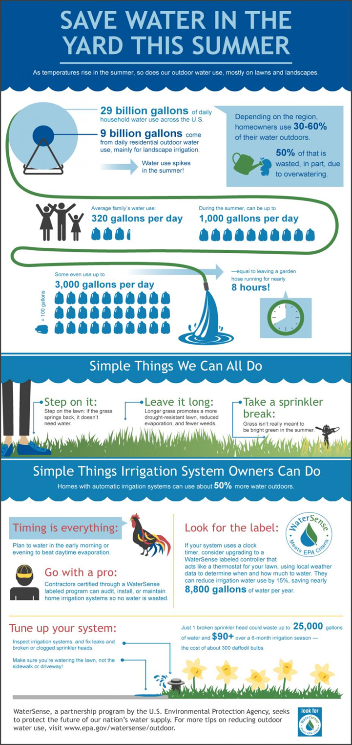 save water in the yard this summer