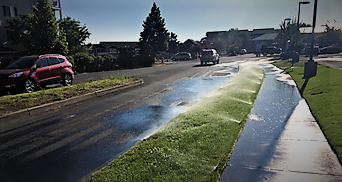 sprinkler overspray on the sidewalk and into the street