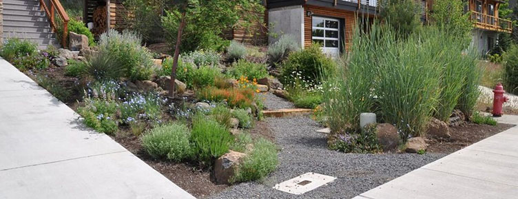 A waterwise landscape