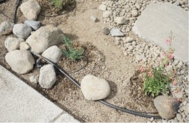 drip line irrigation in landscape