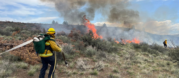Image of a firefighter holding a hose and watching a fire on sagebrush land