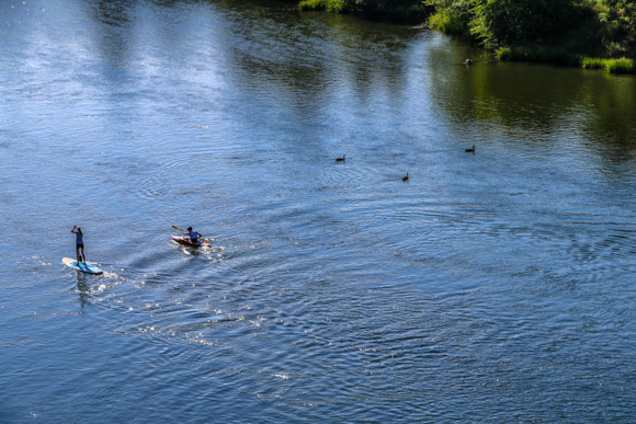 People on paddleboards on the Deschutes with geese.