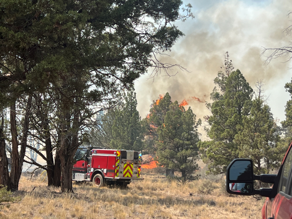 Trees and a fire engine with smoke rising in the distance