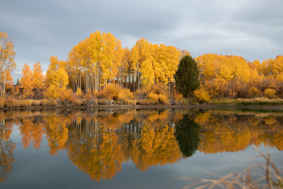 Photo of golden trees reflecting across a body of water.