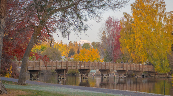 A photo of fall trees with the mountains in the background and a bridge in the foreground.