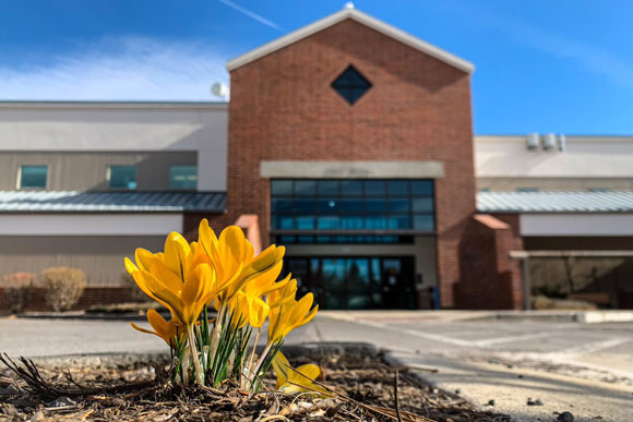 Spring picture of flowers in front of Bend city hall